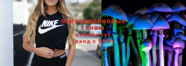 ГАЛЛЮЦИНОГЕННЫЕ ГРИБЫ Армянск