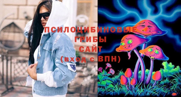 ГАЛЛЮЦИНОГЕННЫЕ ГРИБЫ Армянск