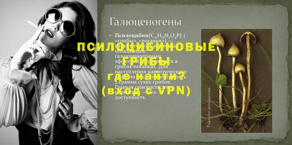 ГАЛЛЮЦИНОГЕННЫЕ ГРИБЫ Армянск